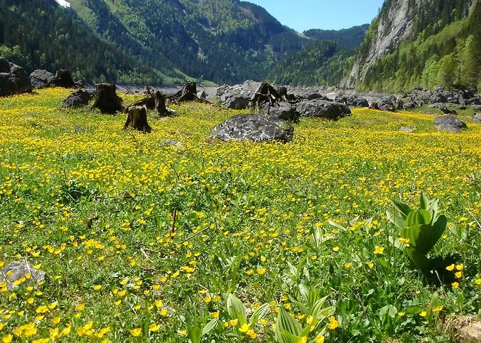 Haus Liesenfeld بيت للعطل *