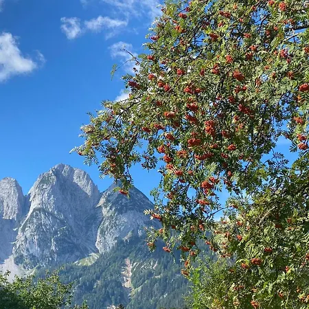 Haus Liesenfeld Gosau