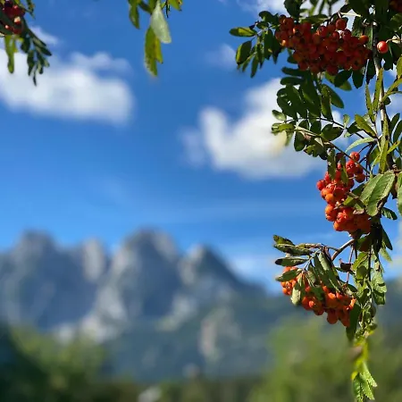 Dom wakacyjny Haus Liesenfeld Gosau