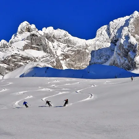 Dom wakacyjny Haus Liesenfeld