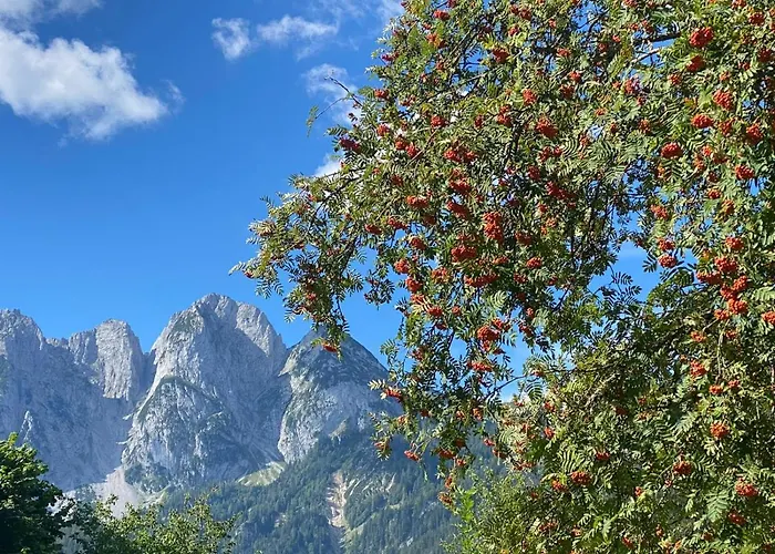 Haus Liesenfeld Gosau