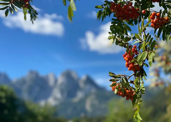 Σπίτι διακοπών Haus Liesenfeld Gosau